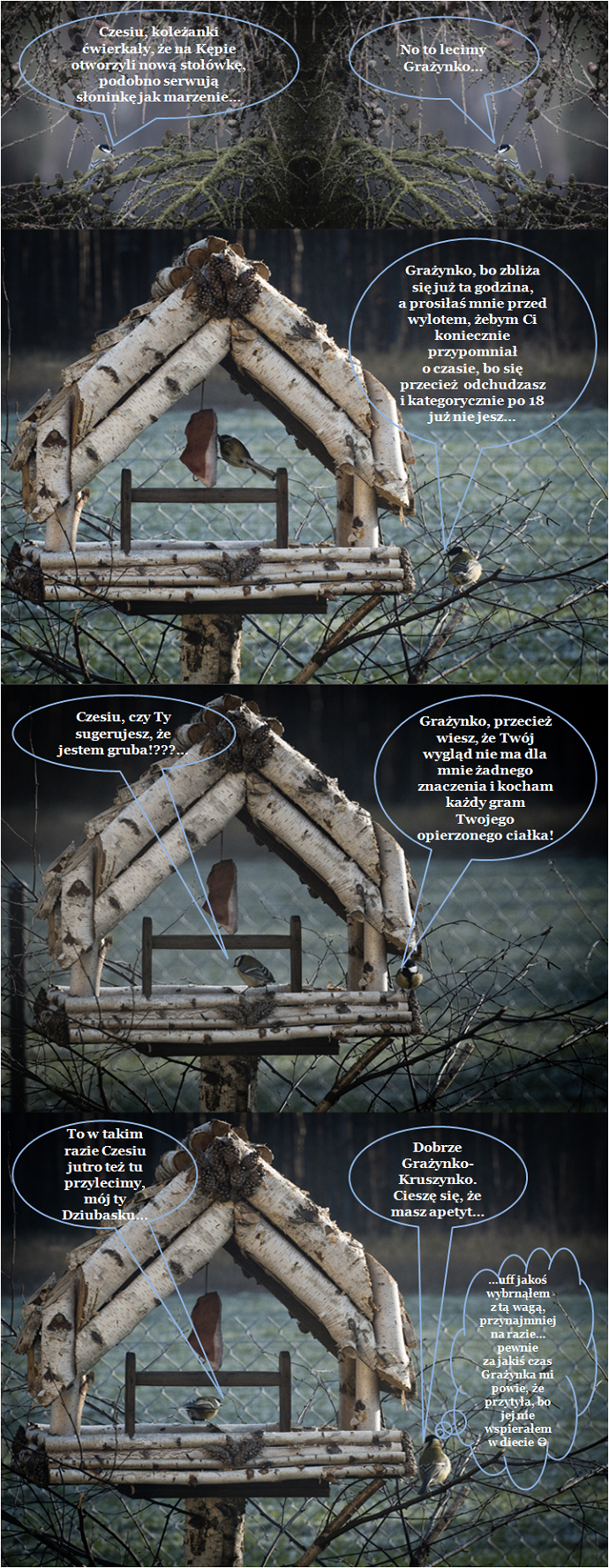 komikskarmnikkepamarzen