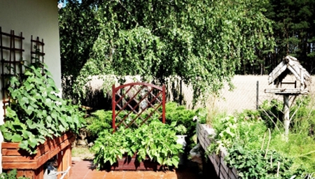 EKO-OGRÓDEK WARZYWNY W SKRZYNKACH