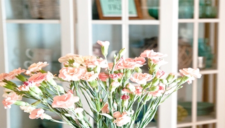 JAŚNIE PANI BIAŁA WITRYNKA