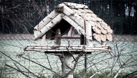 KARMNIK - STOŁÓWKA DLA PTAKÓW